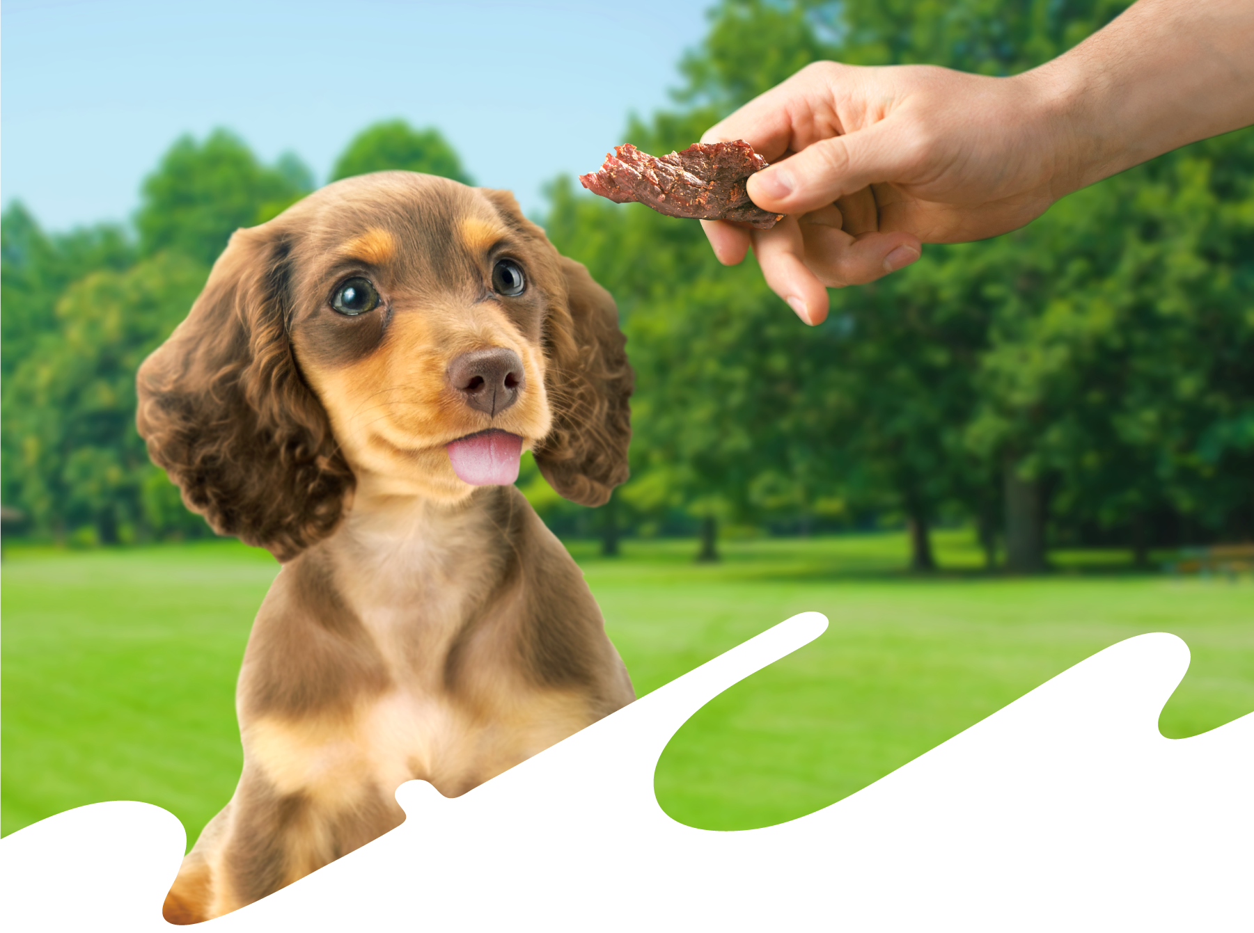 えひめ鬼北 やさしいジビエ