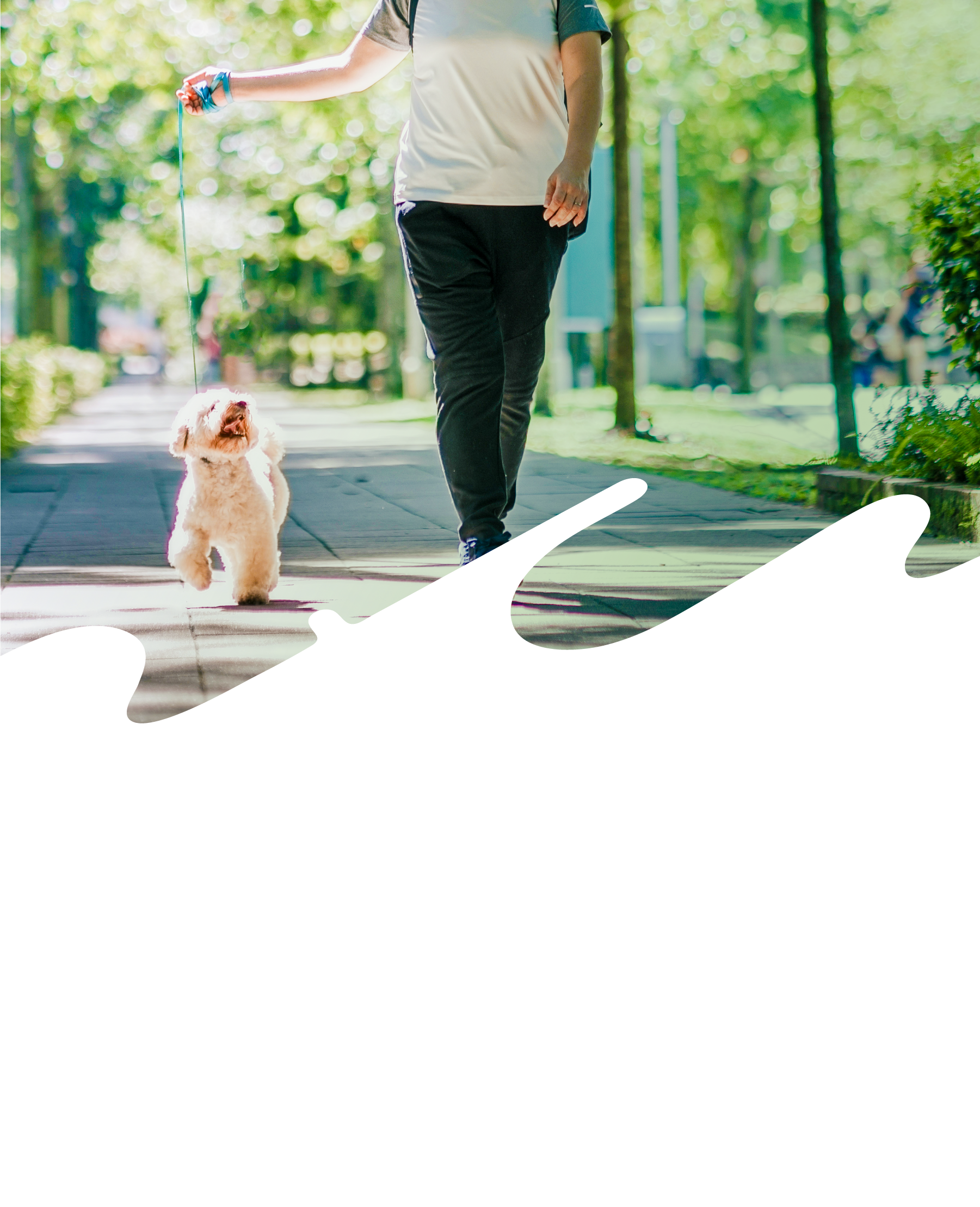 えひめ鬼北 やさしいジビエ